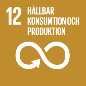 Globalt Mål l12