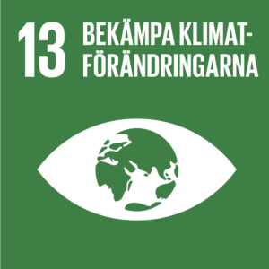 Globalt Mål 13
