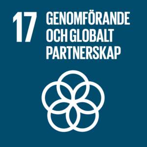 Globalt Mål 17