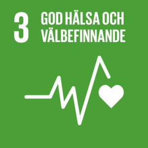 Globalt Mål 3