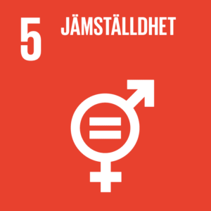 Globalt Mål 5