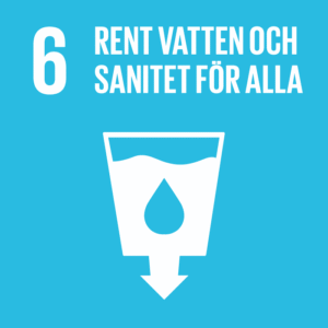 Globalt Mål 6