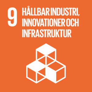Globalt Mål 9